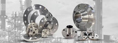 quality Titanium Flange factory