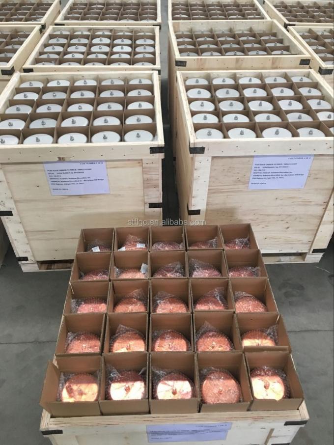 Metal Duplex Titanium PVDF PP ABS Bubble Cap Tray PT Test 7